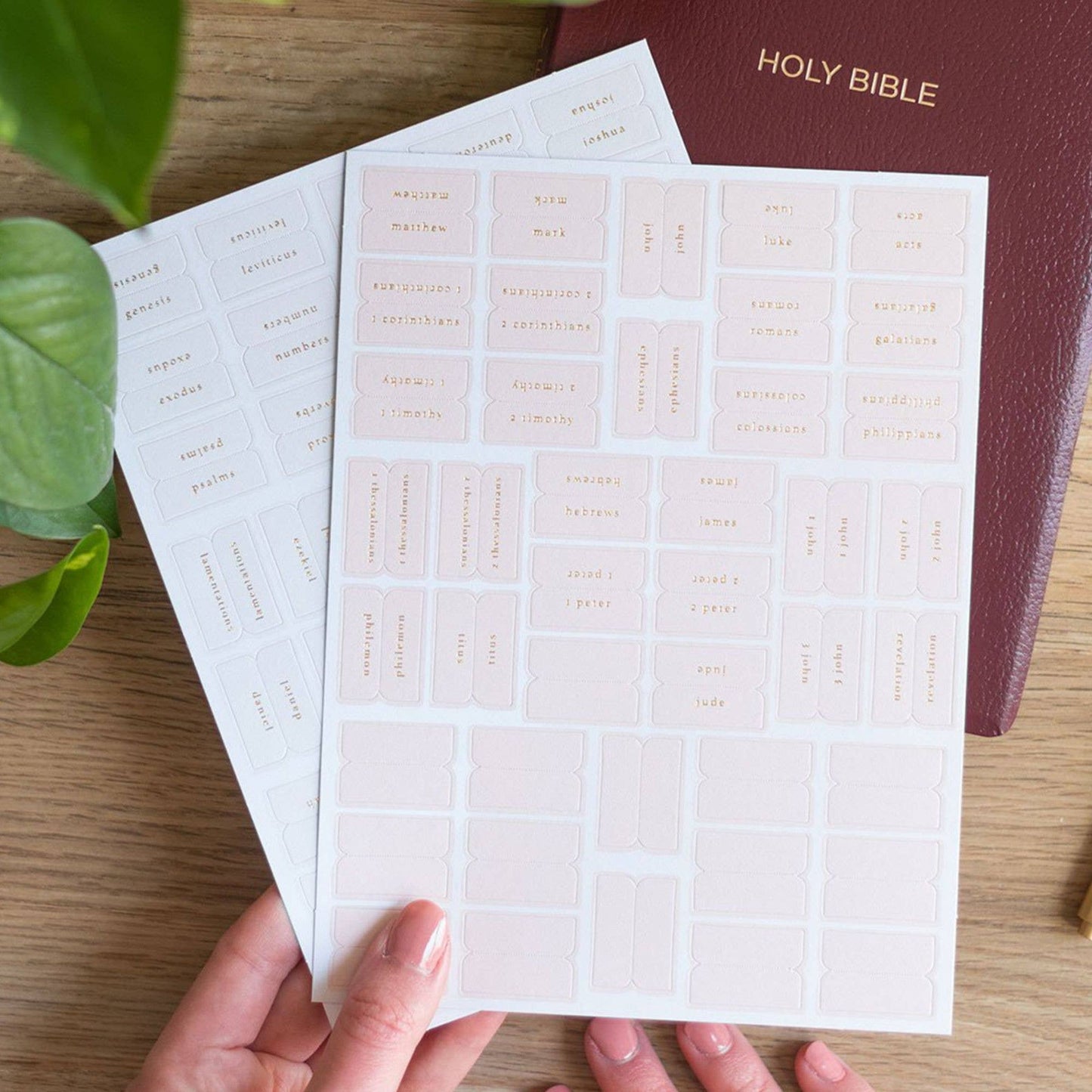 Bible Tabs - Pink and Cream