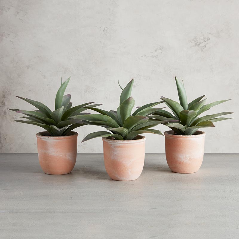 Artificial Propeller Plant