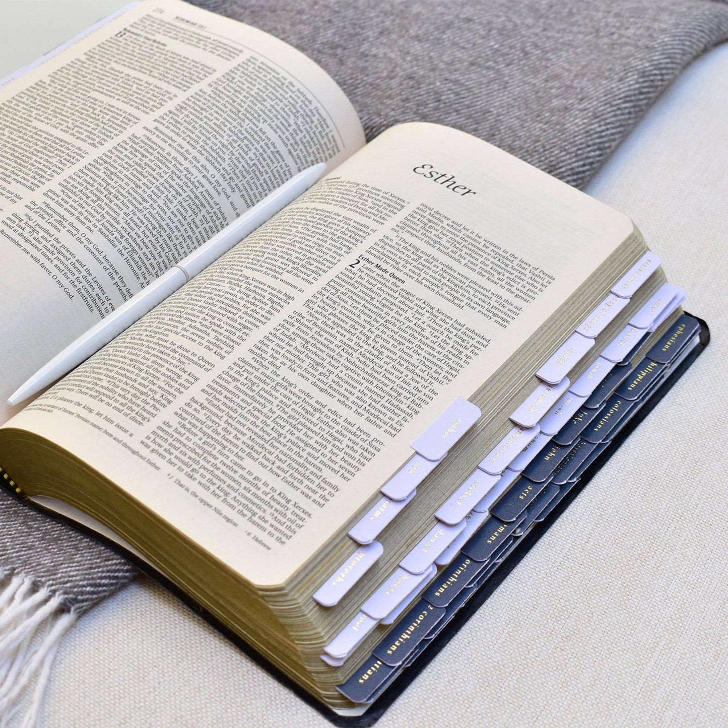 Bible Tabs - Navy and Grey