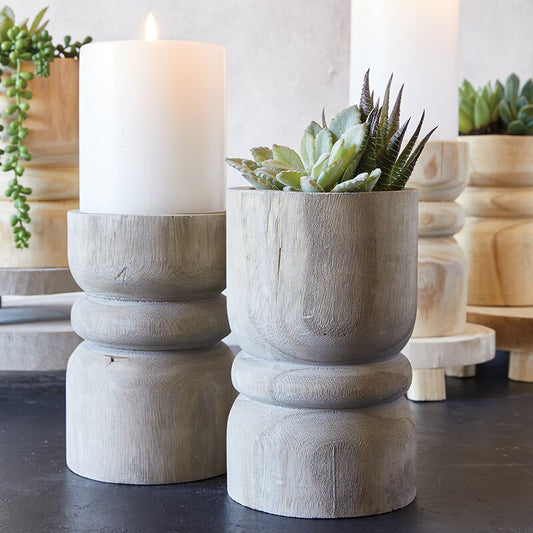 Medium Succulent Pillar - Grey Paulownia Wood