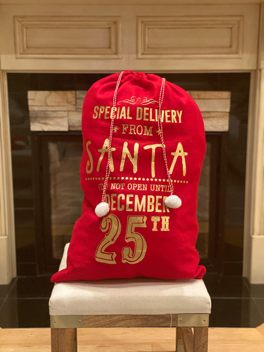 Special Delivery Santa Bag